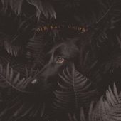 Old Salt Union - Where the Dogs Don't Bite