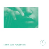 In My Soul - Single - Faizal Mostrixx & Karun