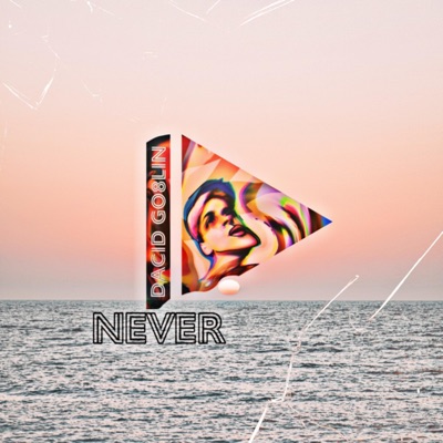 Never - Single