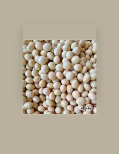 Ακούστε περιεχόμενο από KOBOTOKE, παρακολουθήστε μουσικά βίντεο, διαβάστε το βιογραφικό, δείτε ημερομηνίες περιοδείας, και πολλά ακόμη!