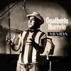 Gualberto Ibarreto - Anhelarte