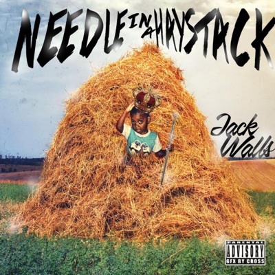 Needle in a Haystack