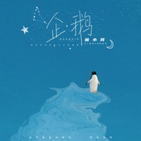企鹅 (DJ阿卓版) - Single - 林小珂