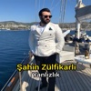 Şahin Zülfikarlı - Yanlızlık