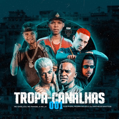 Tropa dos Canalhas 001 (feat. Dj Phzin, DJ Matheus Santos & Dj Pedrin Souza) - Single