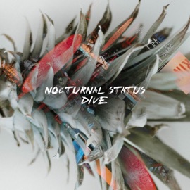 Dive Nocturnal Status