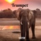 Trumpet - Djeffon lyrics
