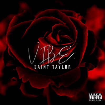 Vibe (feat. LeekJayMusic) - Single