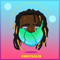 Chrysalis - Wasionkey