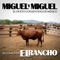 Mentiroso - Miguel y Miguel lyrics