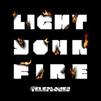 Light Your Fire - Single - the telephones