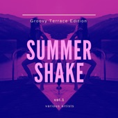 Summer Shake (Groovy Terrace Edition), Vol. 1 artwork