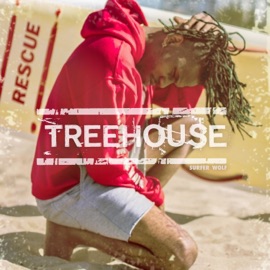 Treehouse Surfer Wolf