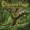 Peaceful Forest