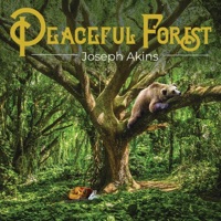 Joseph Akins - Peaceful Forest