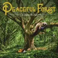 Peaceful Forest — Joseph Akins