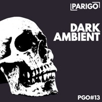Dark Ambient (Parigo No. 13) - Mister Modo & Ugly Mac Beer