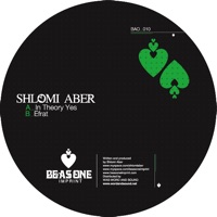 In Theory Yes - Single - Shlomi Aber