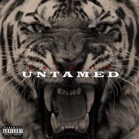 Untamed - Single - Kay Xilo