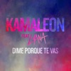 Kamaleon