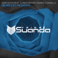 Never Let Me Down (feat. Christopher James Connelly) - Single - Adip Kiyoi