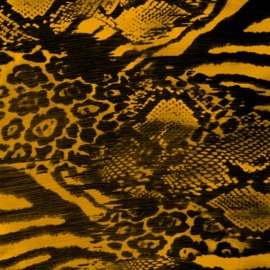 Zoo (feat. Young C) Jkzn