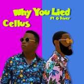 Why You Lied (feat. G River) artwork