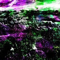 FerrofluidMeadows - Single - DiskoBat