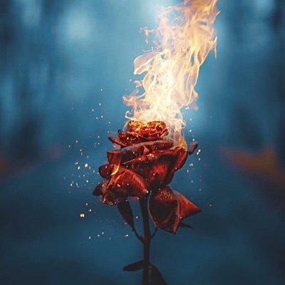 How To Love Me (feat. Armani) - Single