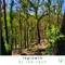Regrowth - Dj Rob Tech lyrics