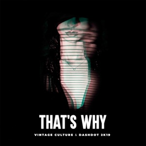 That's Why (Vintage Culture & Dashdot 2k19) - Single
