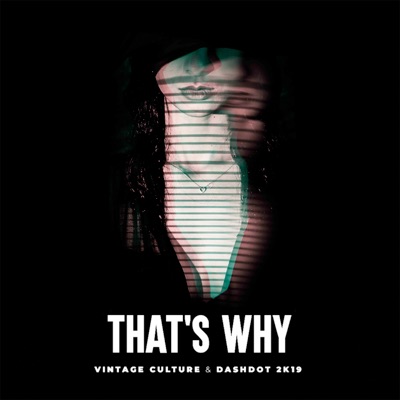That's Why (Vintage Culture & Dashdot 2k19) - Single