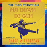 Put Down de Gun (feat. Ch4se & Pupa Sean) - Single - The Mad Stuntman