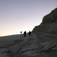 Home - Single - Miles Singleton