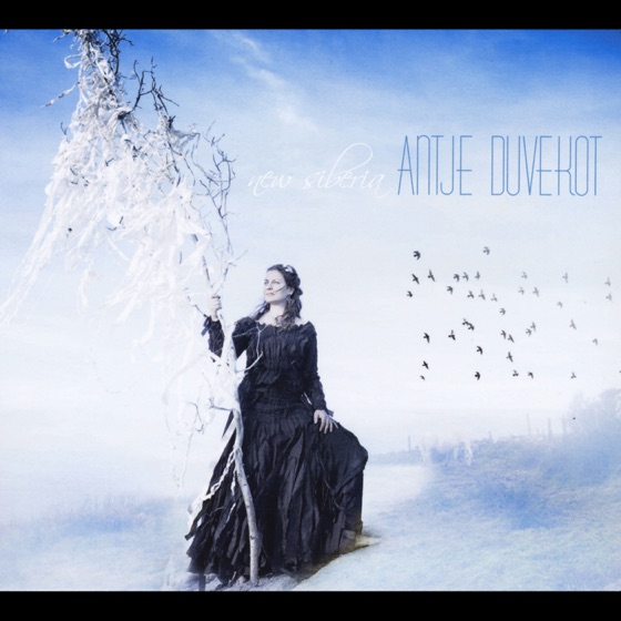 Cover artwork for The Perfect Date