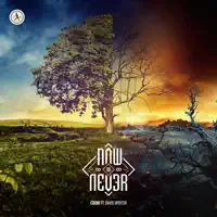 Now or Never (feat. David Spekter) — Coone
