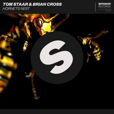 Hornets Nest - Single - Brian Cross
