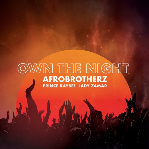 Own The Night (feat. Prince Kaybee & Lady Zamar) - Single