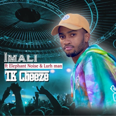 Imali (feat. Elephant Noise & Lurman) - Single