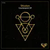 Shodan - Never Too Late
