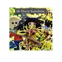 Hi There Sunshine - Single - The Happy Somethings
