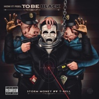 How It Feel to Be Black (feat. T-Rell) - Single - Storm Money
