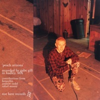 Peach Arizona - Single - Gabe Gill
