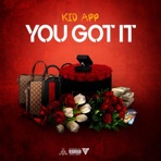 You Got It - Single