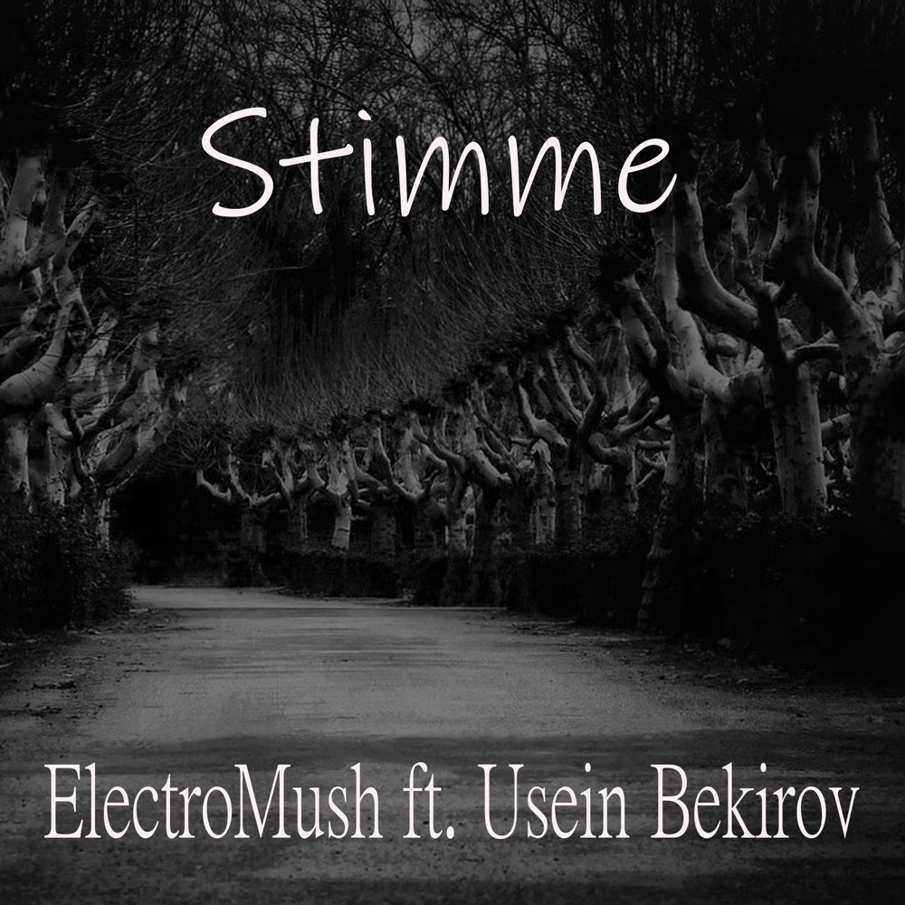 Обложка альбома «Stimme (feat. Usein Bekirov) [Piano version] - Single» — ElectroMush