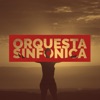 Orquesta Sinfonica