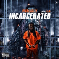 Publicly Incarcerated - M80 LA