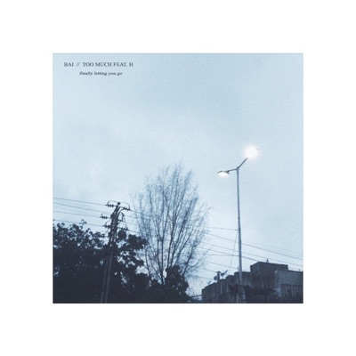 Too Much (feat. H) - Single