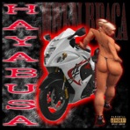 Hayabusa - Single