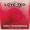 Love TKO (feat. Angie Stone) - Mr. Mermaid Remix - Single